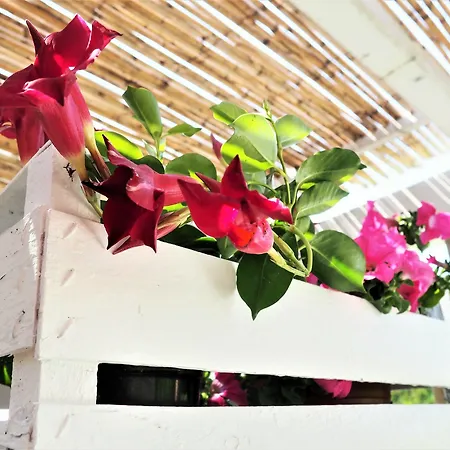 Masseria Costarella *