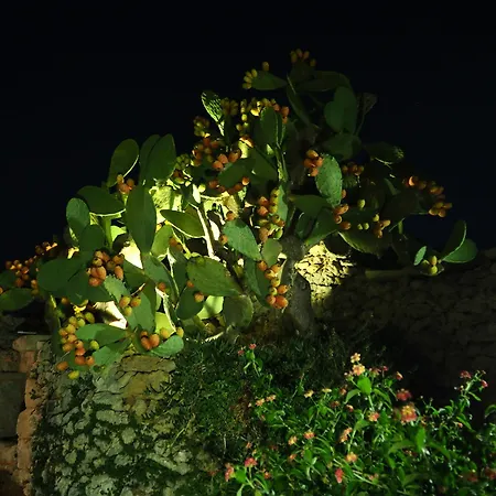 Masseria Costarella מלון