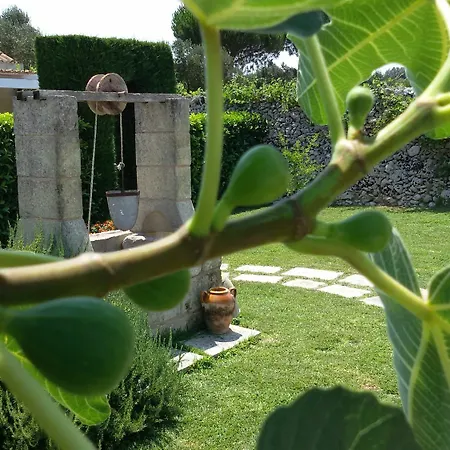 Villa Masseria Costarella